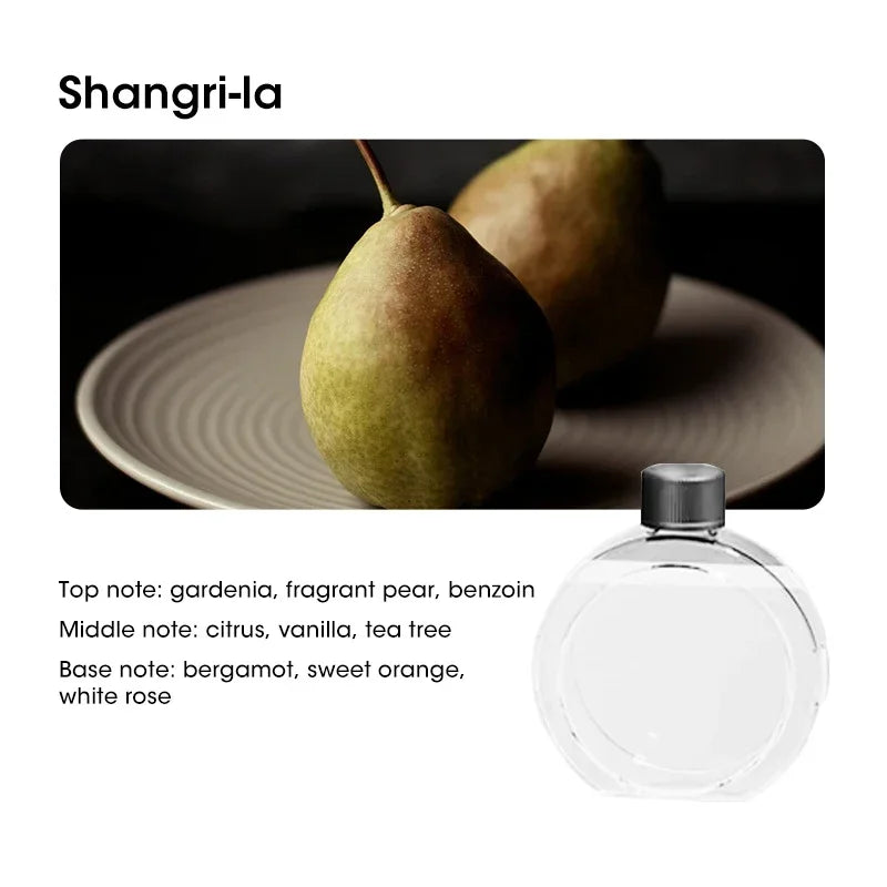 Aroma Air Purifier & Diffuser